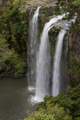 Fototapeta na wymiar Whangarei Otuihau Falls New Zealand