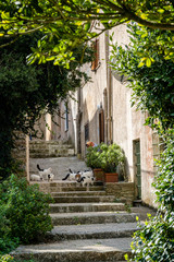 Fototapeta premium The beautiful hilltop village of Erice Italy (Sicily)