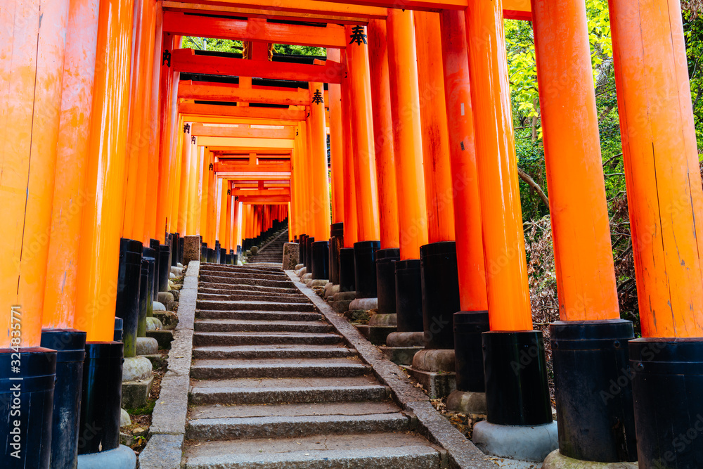 Wall mural fushimi inari shrine kyoto japan