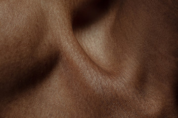 Collarbones. Detailed texture of human skin. Close up shot of young african-american male body....