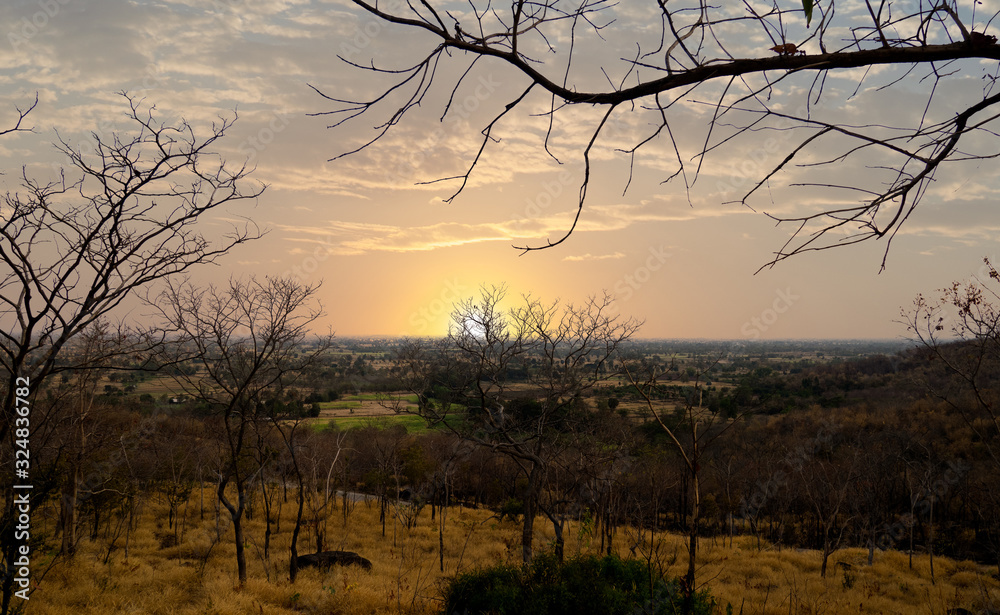 Aufkleber sunset and trees without leave