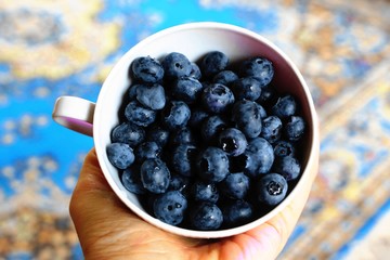 Fresh delicious blueberries