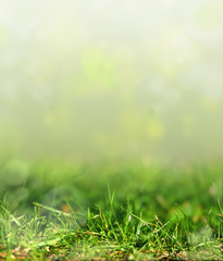 art abstract spring background