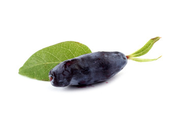 Fototapeta premium Honeysuckle berry isolated on white