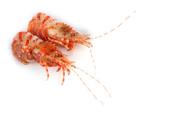 Shrimps isolated on white (northern Bering shrimp)
