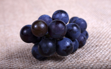 Black wine grape on bagging