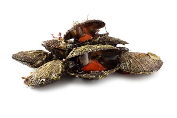 Fresh scallops isolated on white