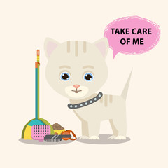 Cat with Animal care facilities