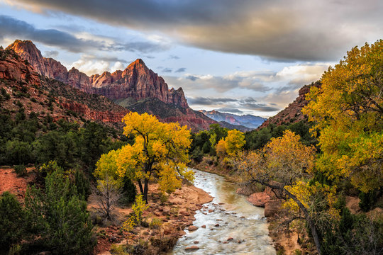 Watchman in the Fall
