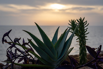 A sunset in Marsala Italy (Sicily)