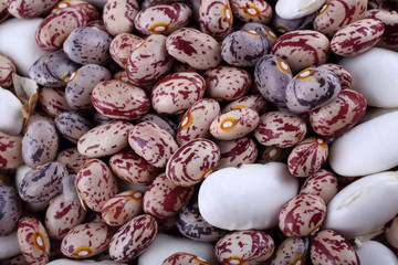 Different beans background