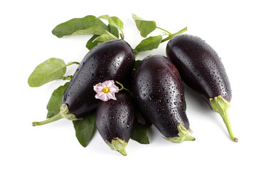 Eggplants isolated on white