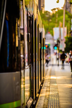 A famous Melbourne tram is stopped at a city tram stop in the golden late afternoon light.