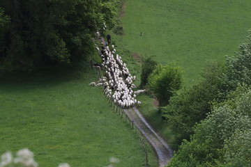 Architecture et nature