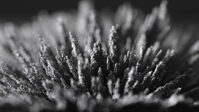 Iron powder under the influence of a magnetic field. Abstract background.