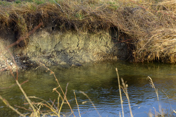 small brook in bavaria with soil erosion after winter, soil degradation on a small stream close-up