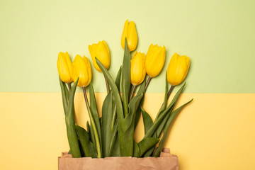 Yellow tulips on yellow background