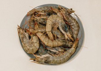 huge tiger prawns on a plate