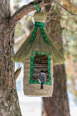 marsh tit sitting in the bird feeder hanging on a tree