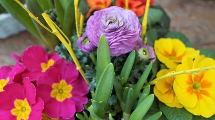 spring arrangement of bright flowers