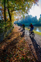 cyclist in the forest