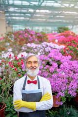 Hobby and Profession. Portrait of Handsome gardener. Senior bearded man at greenhouse full of flowers.