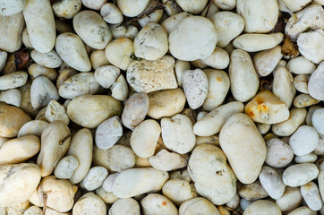 A blurred patterned stone against a blurred patterned background