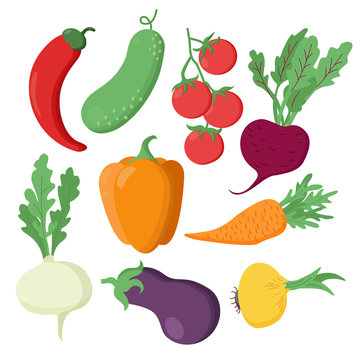 Set of ripe vegetables: eggplant, tomato, pepper, chili, cucumber, carrot, onion, turnip, beetroot. Vector image on a white background.