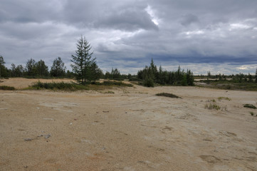 Heavy dark blue with tint of grey clouds in the cold summer sky over  green forest growing in the sand. North