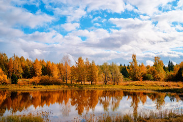 Colors of fall. Beautiful autumn landscape with forest and lake.
