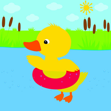 Cute duckling swims in the pond vector landscape