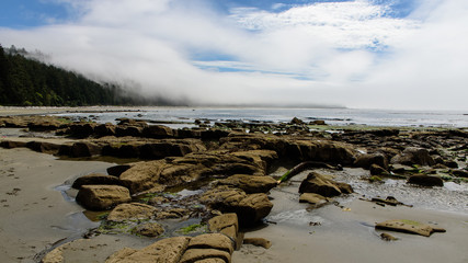 Rocky coast in the Pacific-Rim-Nationalpark I, Vancouver Island, North-America, Canada, British...