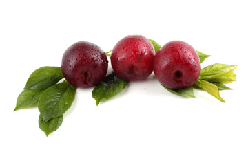 Plums and leaves