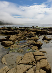 Rocky coast in the Pacific-Rim-Nationalpark, Vancouver Island, North-America, Canada, British Colombia, August 2015