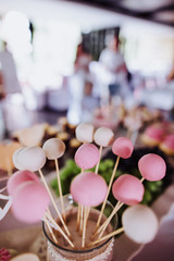Cake pops and other tasty sweets on a wedding candy bar