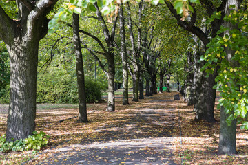 Park Traugutta in Warsaw, Poland