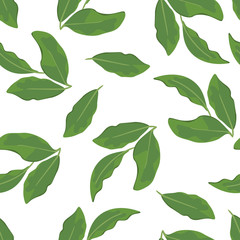 Green bay leaf isolated on white background. Seamless pattern with culinary herbs. Fragrant seasoning laurel leaves. Vector illustration in cartoon flat style.