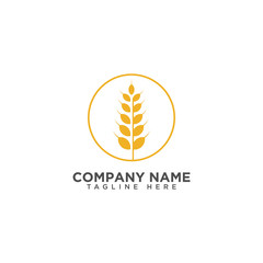 Agriculture wheat Logo Template vector icon design