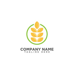 Agriculture wheat Logo Template vector icon design