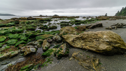 Low tide in a bay of the Pacific-Rim-Nationalpark, Vancouver Island, North-America, Canada, British...