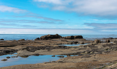 Fototapeta na wymiar Rocky coast in the Pacific-Rim-Nationalpark I, Vancouver Island, North-America, Canada, British Colombia, August 2015