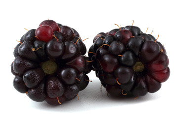 Blackberries