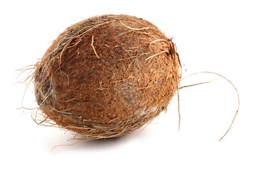 Coconut