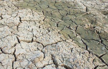 Cracked soil