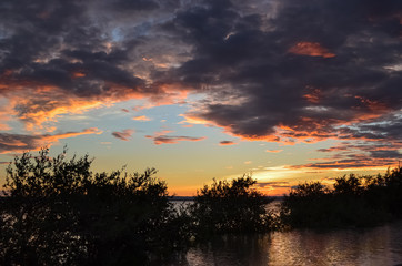 Mangles y cielo