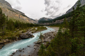 Valley in the Mount Robson provincial park, Rocky Mountains, North-America, Canada, British Colombia, August 2015