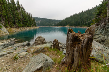 Rubble Creek Trail crossing the Garibaldi Lake I, North-America, Canada, British Colombia, August...
