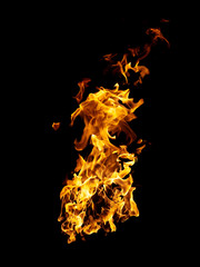 real and hot flames are burning on a black background.