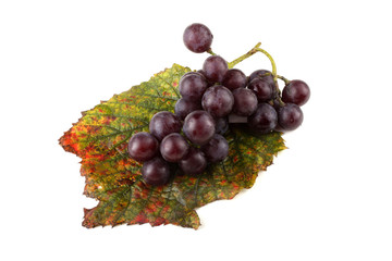Black grape