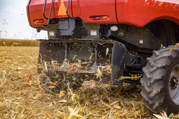 Closeup of chaff spreader on combine harvester harvesting cornfield. Corn trash of cobs, stalks and debris thrown from rear of combine